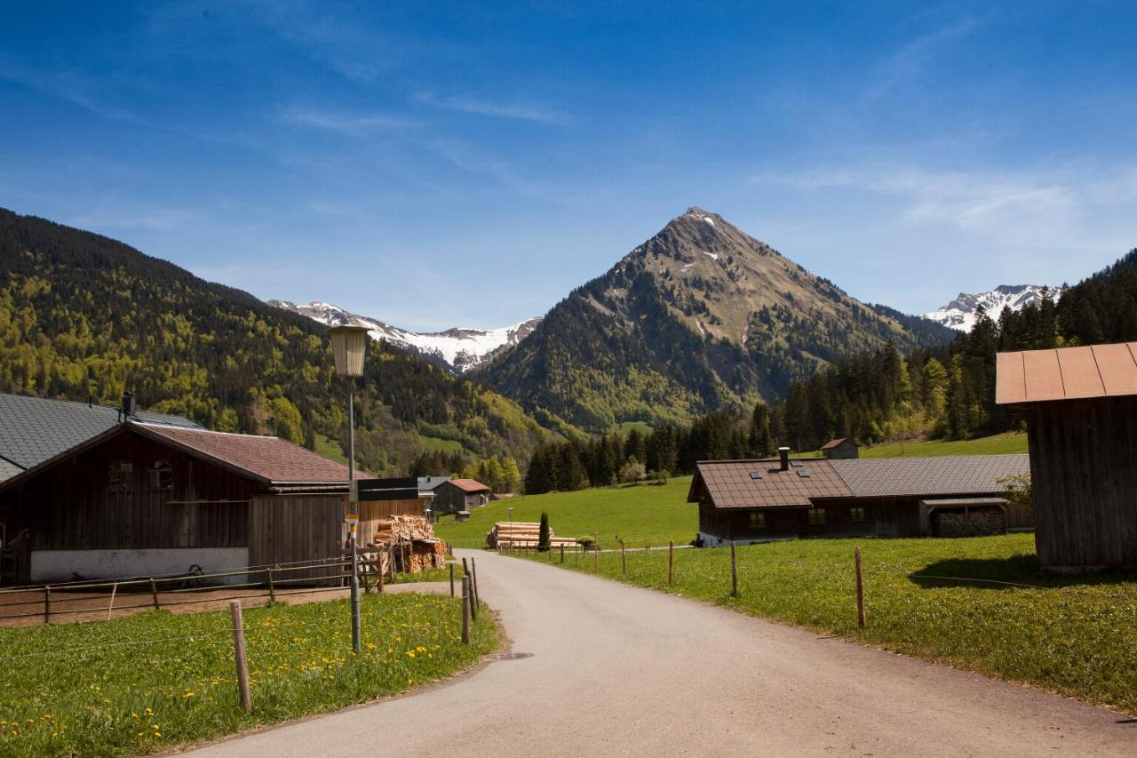 Apartamento Ferienbauernhof Kohler Schoppernau Exterior foto